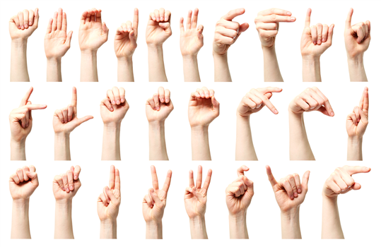 ASL Guide-Led Tour and Discussion