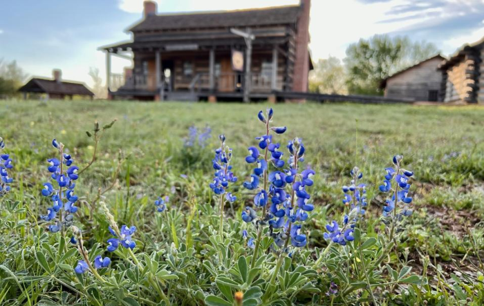 San Felipe Nature Walk in the Footsteps of Stephen F. Austin