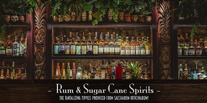 The Roosevelt Room’s Master Class Series – Rum & Sugar Cane Spirits