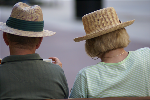 Aging in Place Group– Harris