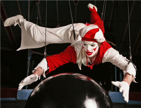 The Amazing Interactive Circus