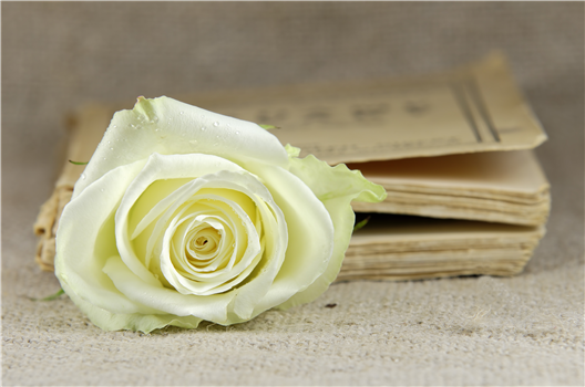 Mayor’s Book Club: “You Are Here: Poetry in the Natural World”