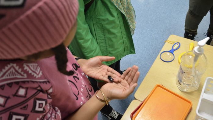 Strolling Science Lab: Not So Creepy Crawlies